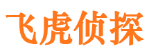 旬阳私家调查公司